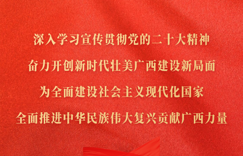深入學(xué)習(xí)宣傳貫徹黨的二十大精神，奮力開(kāi)創(chuàng)新時(shí)代壯美廣西建設(shè)新局面，為全面建設(shè)社會(huì)主義現(xiàn)代化國(guó)家、全面推進(jìn)中華民族偉大復(fù)興貢獻(xiàn)廣西力量