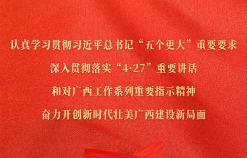 認(rèn)真學(xué)習(xí)貫徹習(xí)近平總書(shū)記“五個(gè)更大”重要要求，深入貫徹落實(shí)“4·27”重要講話(huà)和對(duì)廣西工作系列重要指示精神，奮力開(kāi)創(chuàng)新時(shí)代壯美廣西建設(shè)新局面